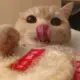cracker