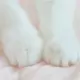 zzz