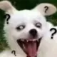 yyyyy