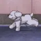 ender的头像-天机阁