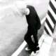 小鱼仙倌