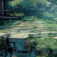 疏影
