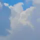 Wang_Y的头像-投影工坊