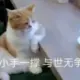 神采奕奕