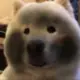 一起的