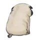 风
