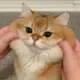 kiki_risky的头像-投影工坊