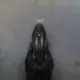 AEsir219的头像-天机阁