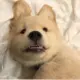 路人甲