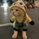 1615593061@qq.com
