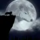zxzxzx211