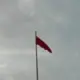 你李丽敏
