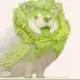 zhijihen6的头像-天机阁