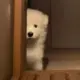 闲心