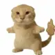 老木木
