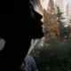 白兰海的头像-投影工坊