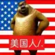1122qw的头像-投影工坊