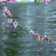 栋