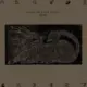 XEROC的头像-投影工坊