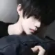 wjf775899的头像-投影工坊