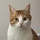 千寻梦