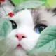 分享爱好
