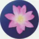 mianxi