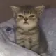 hhhhhhhhhhhhhhhhh