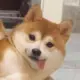 繁城