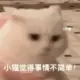 胖葫芦*