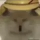 123