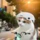哈基米