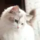 liaozxc123456的头像-投影工坊