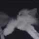 奈落
