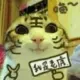 nonororo的头像-投影工坊