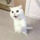 小勤