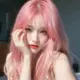 林舔舔