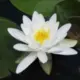 宝宝0.0的头像-天机阁