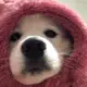 lll