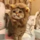 牧云的头像-天机阁
