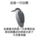 Solomonscook的头像-天机阁