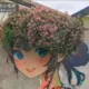 hakumei