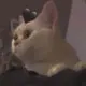 12414124