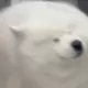 yamato