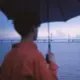 晴子