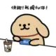wubiyi的头像-投影工坊