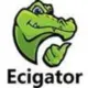 ecigs