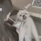 沐颜