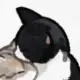 1527573910