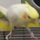 a147258